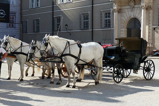 Tour image 5